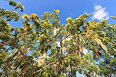 CDPR对《巫师3》次世代更新答疑 解决你想知道的